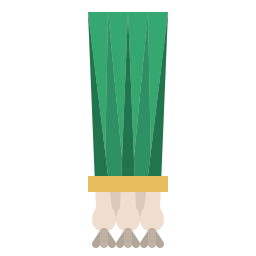 cipolla verde icona