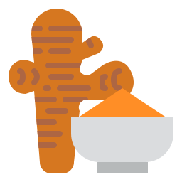 Turmeric icon