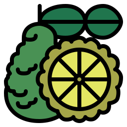 Bergamot icon