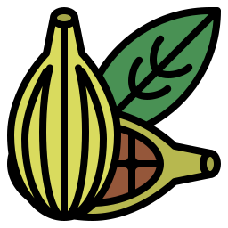 cardamomo icono