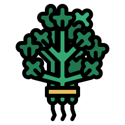 koriander icon