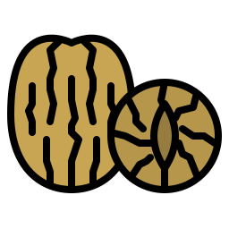 Мускатный орех иконка