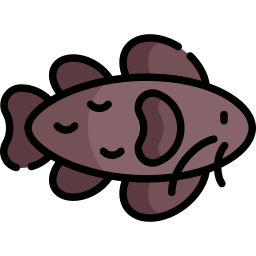 pesce gatto icona