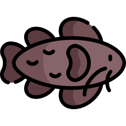 Catfish icon