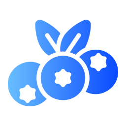 Blueberries icon