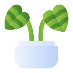 Chinese evergreen icon