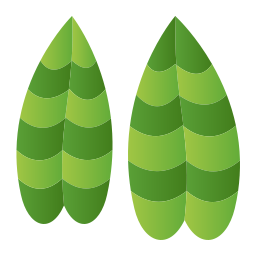 피토니아 icon
