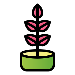 Rubber plant icon