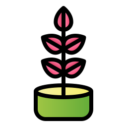 rubberplant icoon