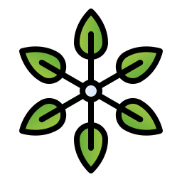 schefflera icon