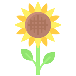 sonnenblume icon