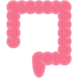 Large intestine icon