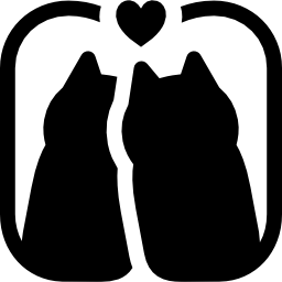 猫のカップル icon