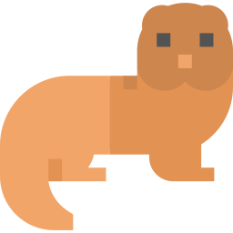 Otter icon