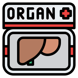 Organ donation icon