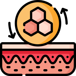 régénération cutanée Icône