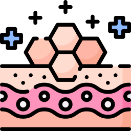 皮膚の再生 icon