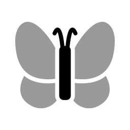 schmetterling icon