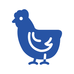 poulet Icône