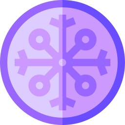 Vegvisir icon