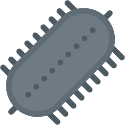 zeekomkommer icoon