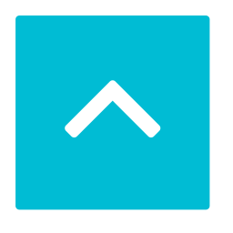 Arrow icon