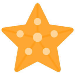 estrella de mar icono