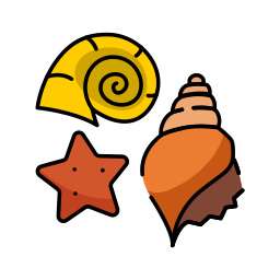 conchas icono