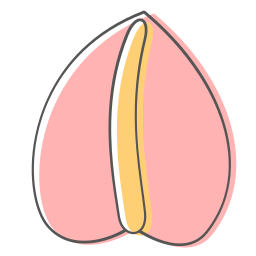 fiore icona