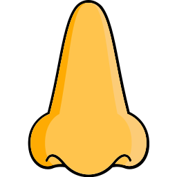 Nose icon