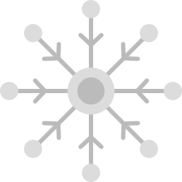 neve Ícone