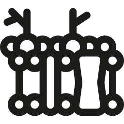 Plasma membrane icon