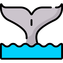 ballena icono