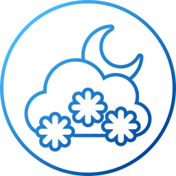 winter icon