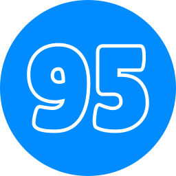 95 icon