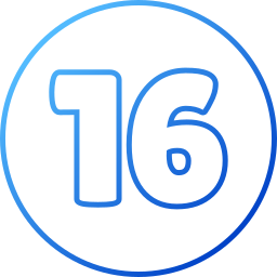 16 icon