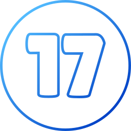 17 icono