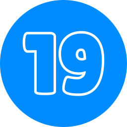 19 Icône