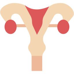 Uterus icon