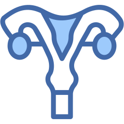 Uterus icon