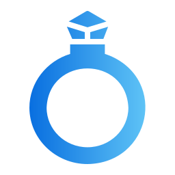 ring icon