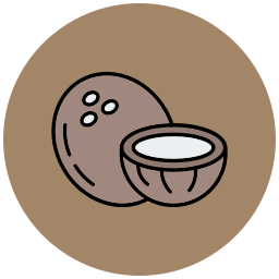 kokosnuss icon