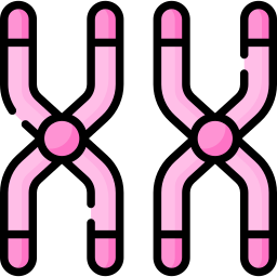 chromosome Icône