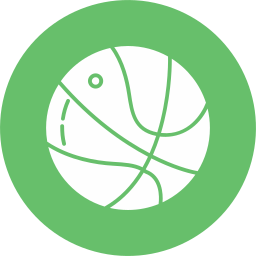 バスケットボールボール icon