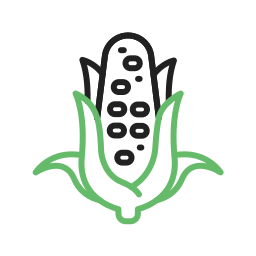 トウモロコシの穂軸 icon