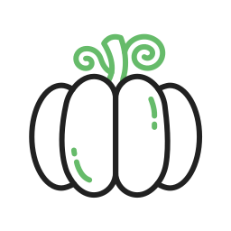 Pumpkin icon