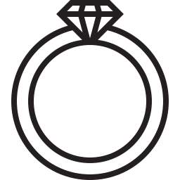 보석류 icon