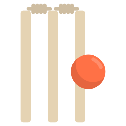 Wicket icon