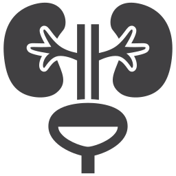 Kidney icon