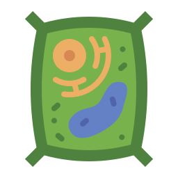 célula vegetal icono